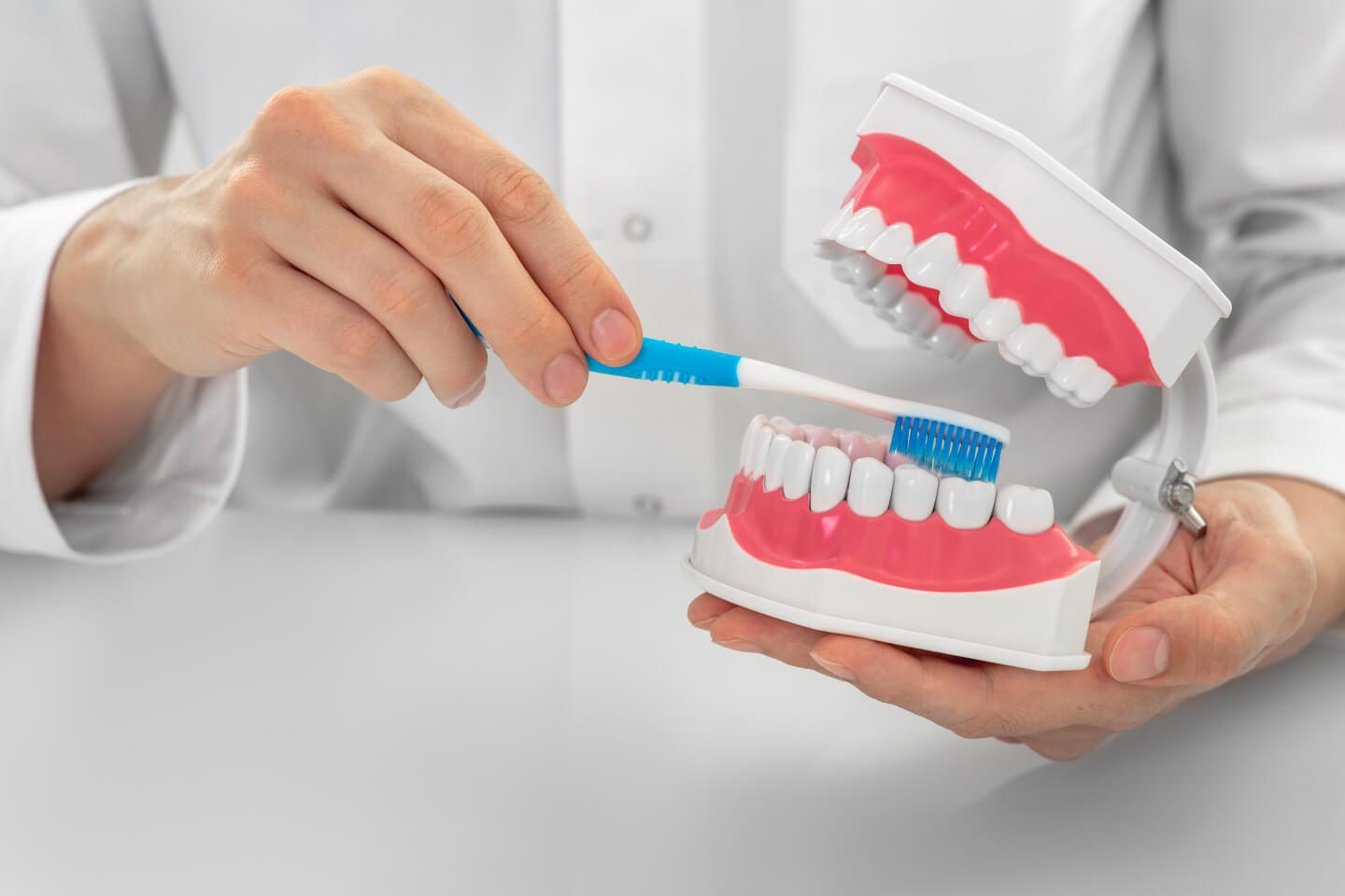 Dentist demonstrating proper brushing technique on a dental model